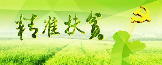 源碼助力來(lái)賓精準(zhǔn)扶貧，點(diǎn)亮新寨村幸福之路